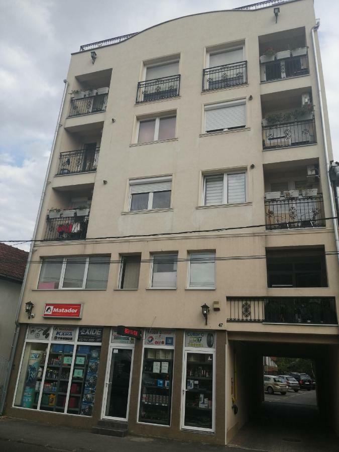 New And Nice Apartments 크라구예바츠 외부 사진